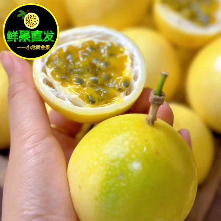 钦蜜9号黄金果可开发票公司定购武平像洞产地源头直发坏果包赔