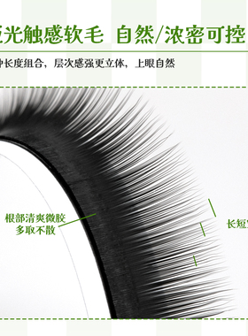 山茶花下睫毛自然浓密单根多取