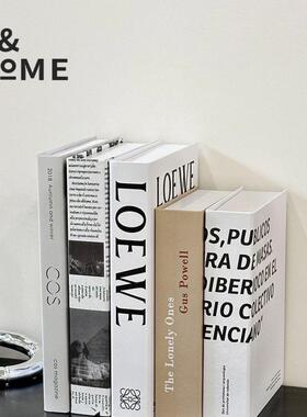 现代简约ins假书书装饰品摆件文字样板房书本桌面装饰书