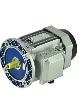 YE2-712-4B5-0.37KW赛孚特微型铝壳三相异步电动电机