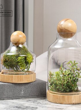 新款创意现代玻璃花瓶工艺品永生花摆件带木球玻璃储物罐家居摆设