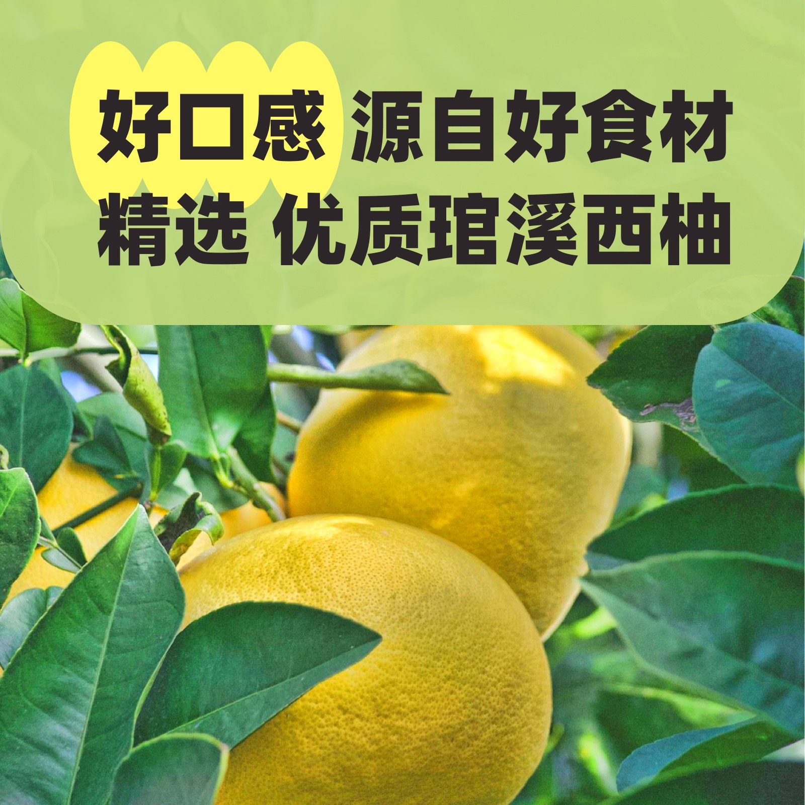 趣食家金银花西柚汁0添加儿童果汁饮料休闲解馋健康零食125ml*4盒