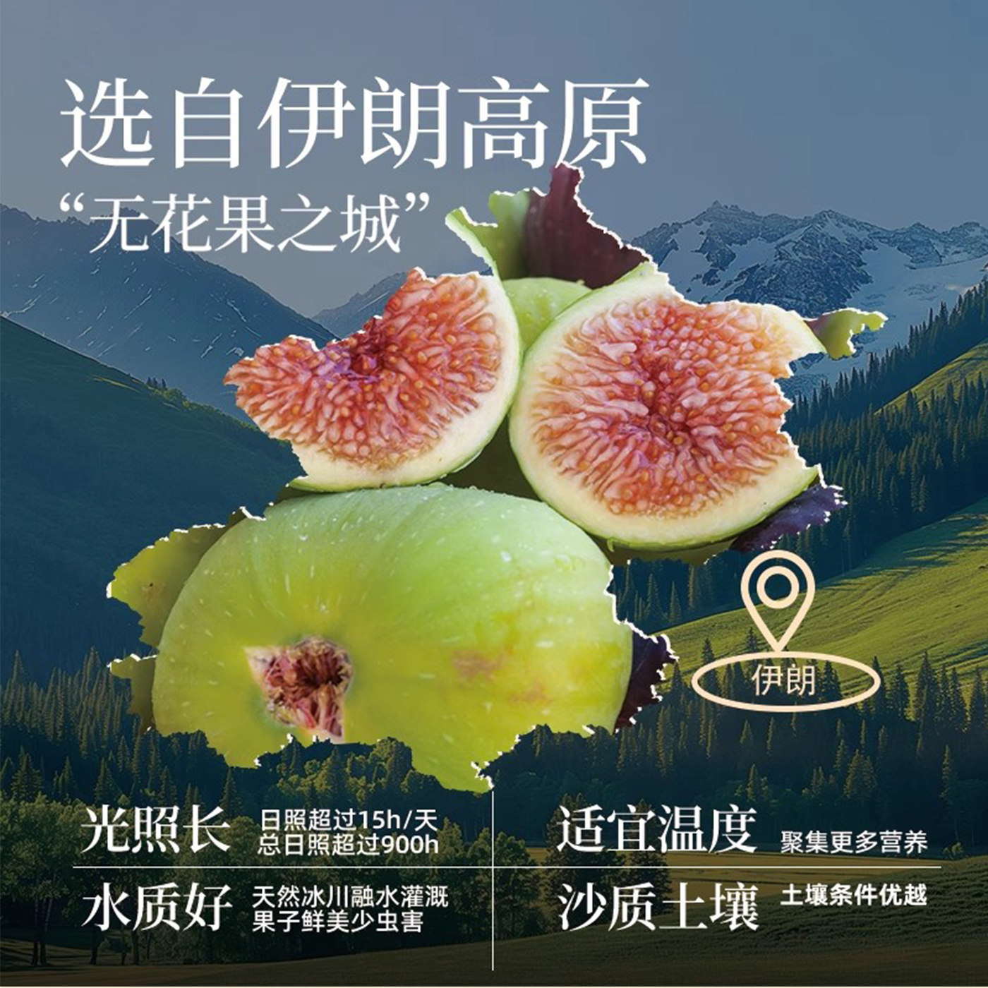 牧果人软蜜无花果干100g三蒸三晒软糯健康孕妇儿童解馋蜜饯零食,淘宝优惠券,粉丝福利购,淘宝优惠卷