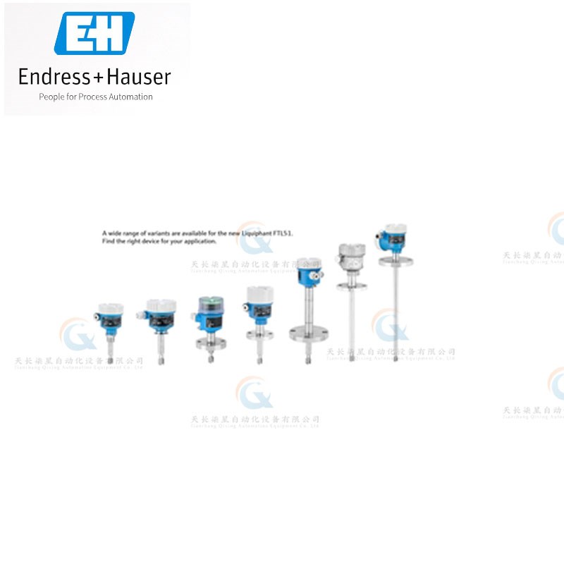 FTL41 FTL3h1 FTL33 FTL51B FTL62 FTL64 FTL51H音叉开关 E+H - 图0