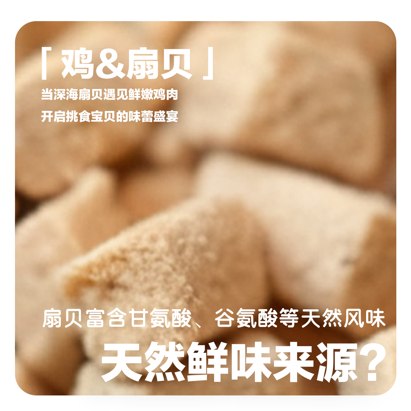 禾式【白金系列】全价无谷主食冻干生骨肉猫粮仙贝鸡肉配方230g,淘宝优惠券,粉丝福利购,淘宝优惠卷