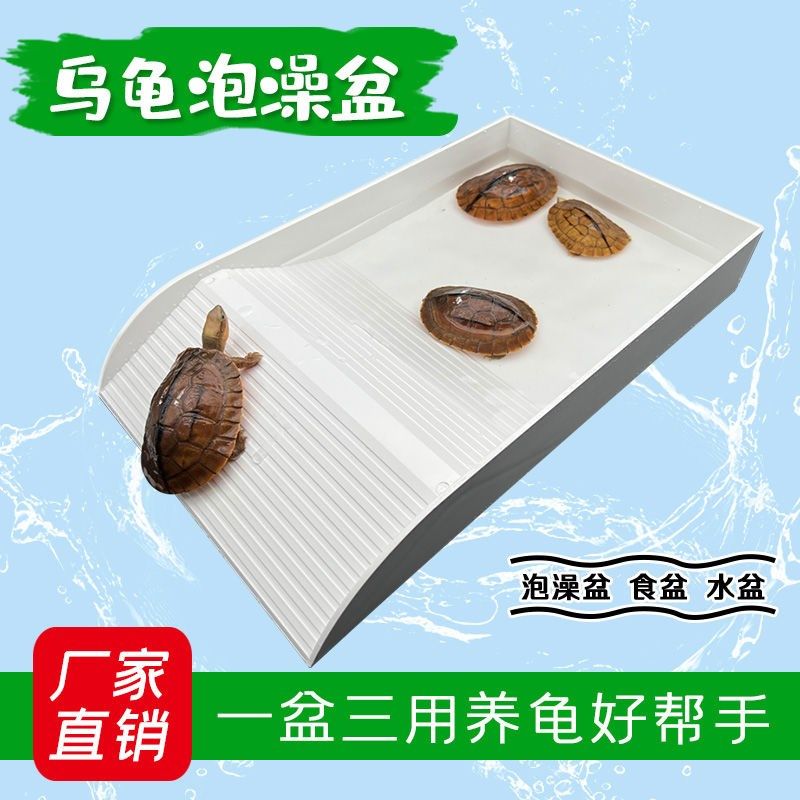 乌龟喂食盆喂水盆j塑料陆龟半水龟爬宠物超大泡澡盆蜥蜴水盆饮水,淘宝优惠券,粉丝福利购,淘宝优惠卷