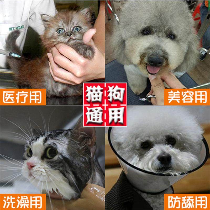 狗狗猫咪防舔项圈头套伊利沙白绝育用品,淘宝优惠券,粉丝福利购,淘宝优惠卷
