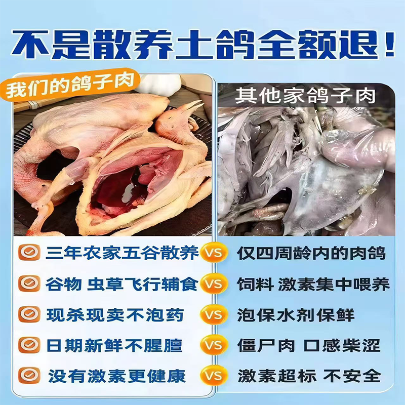 新鲜现杀鸽子正宗3年老鸽子农家散养土鸽子大乳鸽生鲜鸽子肉煲汤