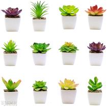 Simulation multi-meat artificial plant plastic flower mini fake flower cross-border simulation flower family residence decoration pendulum piece green planting bonsai