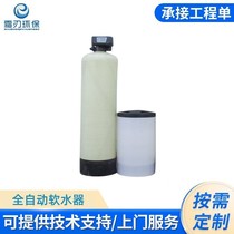 Softened Water Equipment Fully Automatic Softener Boiler Filter Groundwater Sodium Ion Exchangers Loop