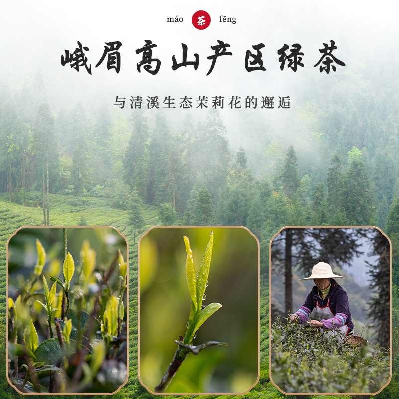 峨眉山毛峰 高山茉莉花茶叶自己喝清香型特级A耐泡新茶散袋装100g - 图0