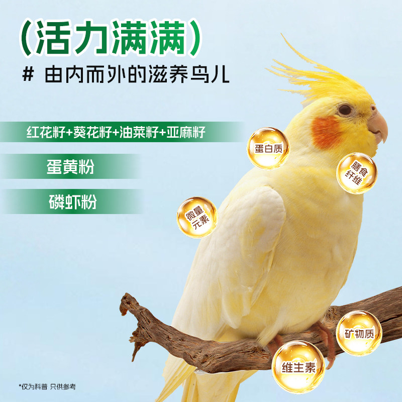 图4