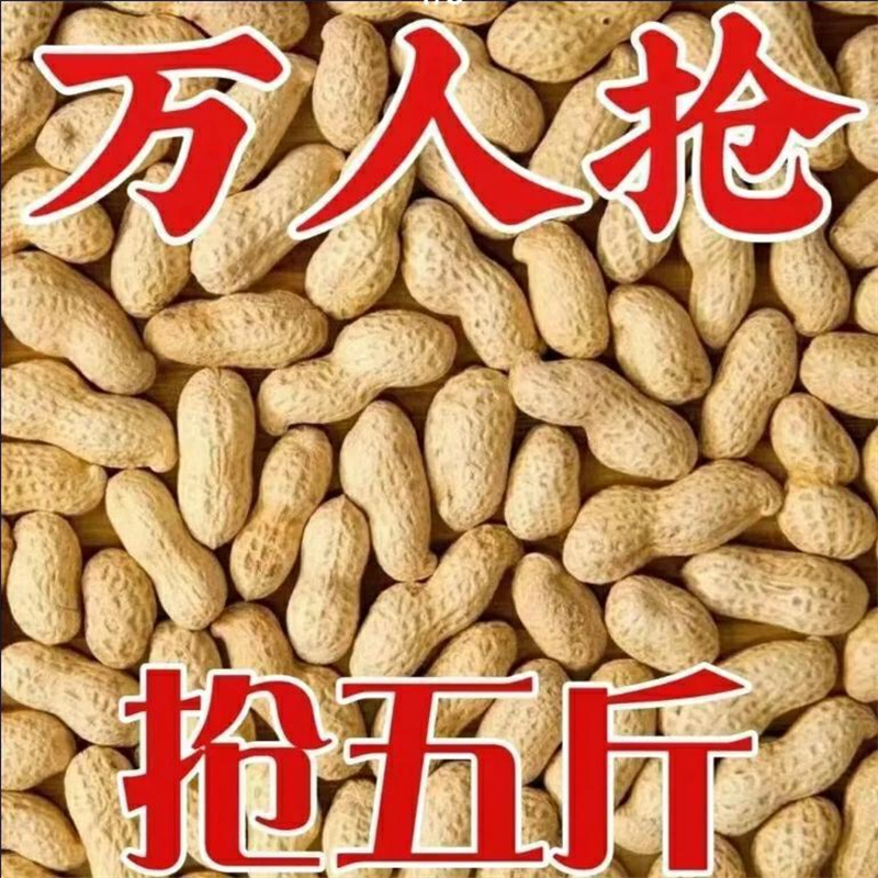 新花生农家铁锅炒花生带壳 现炒现发新货熟花生原味坚果零食