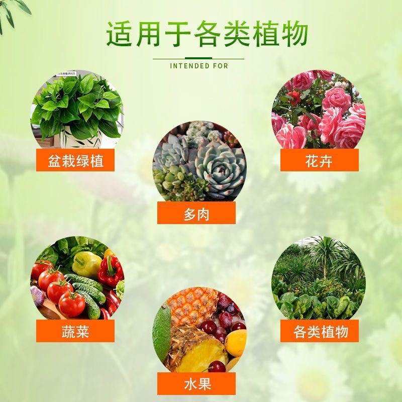 园艺防虫片糖化硼肥片菜地植物土壤地下除虫驱蝼蛄蛴螬韭蛆无毒害 - 图2