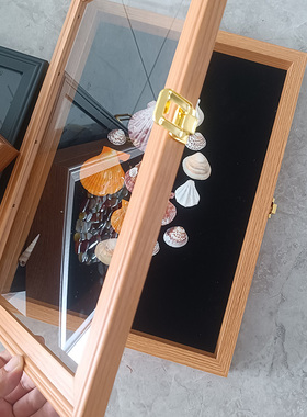 贝壳展示框植物果实收纳盒创意翻盖框石头框防尘中空DIY装饰画框