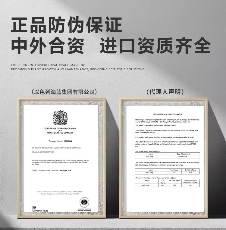 以色列进口大量元素水溶肥料蔬菜果树专用肥平衡高钾高磷农用正品,淘宝优惠券,粉丝福利购,淘宝优惠卷