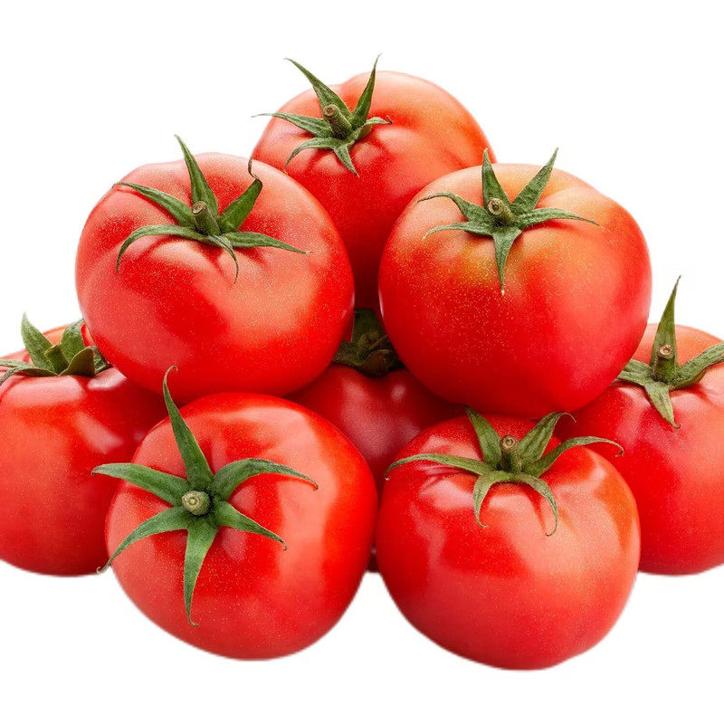正宗普罗旺斯西红柿新鲜陕西当季沙瓤自然熟生吃鲜水果大番茄蔬菜,淘宝优惠券,粉丝福利购,淘宝优惠卷