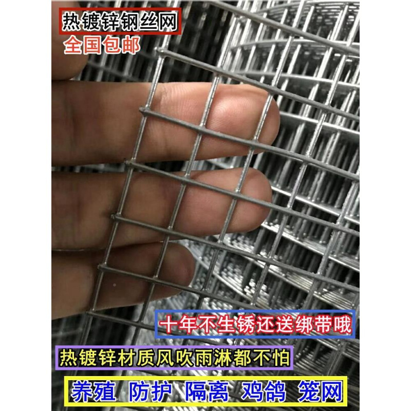 热镀锌防锈电焊网栏养殖鸡围鸽隔兔铁Q235DX防丝网防鼠网格片离护 - 图3