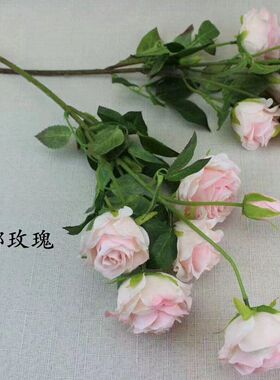 5头坦纳玫瑰婚礼堂经典款家居插花软装插花摄影道具