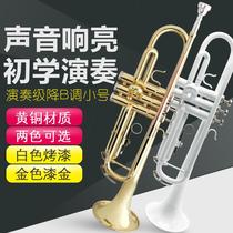 Down-B-tone three-tone small brass instrument horn student beginner band Professional playing test class with portable luggage