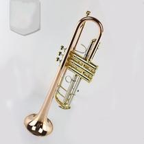 Mcgvett musical instrument Baha Type MTR-160 descending B-tone three-tone small instrument Phosphorus Bronze Horn