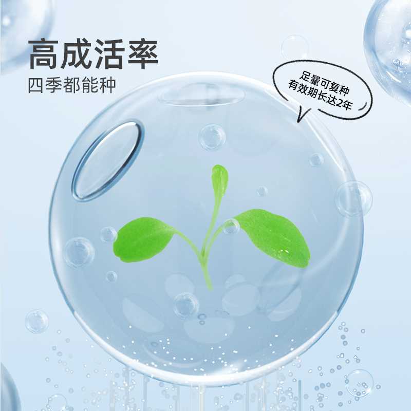 mideer弥鹿水培阳光种植房儿童玩具科学小实验套装植物生长观察盒 - 图3