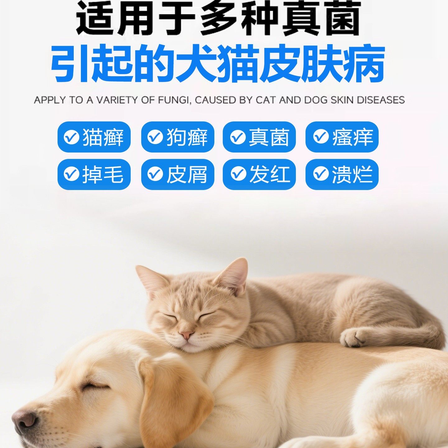 美臣计猫咪狗狗体癣真菌感染复方酮康唑宠物皮肤病特效药膏趾间炎,淘宝优惠券,粉丝福利购,淘宝优惠卷