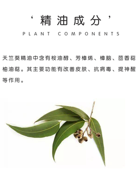 K家尤加利精油单方蓝桉树叶香薰疏通毛孔清洁面脸部净化空气澳洲