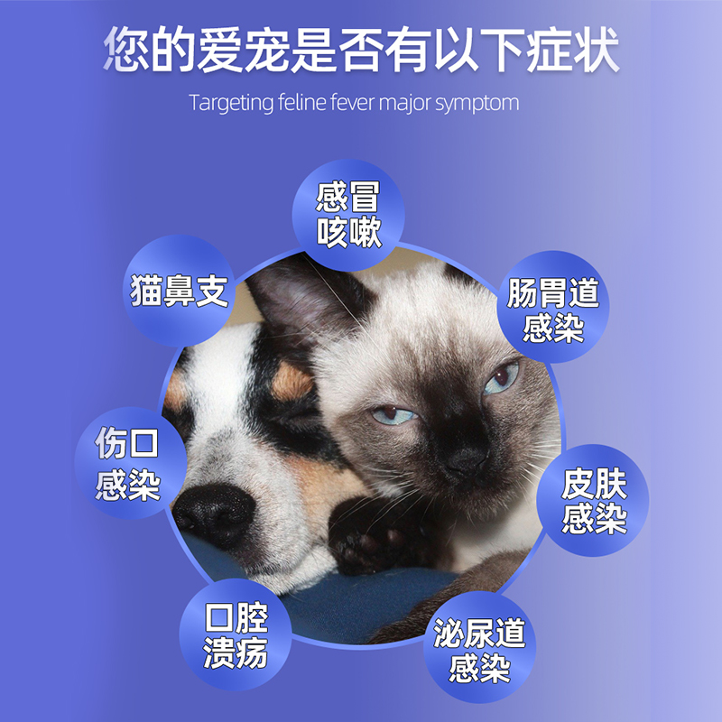 阳光鸟宠物狗狗猫咪猫感冒鼻支感染伤口消炎咳嗽药阿莫西林片兽药-图0