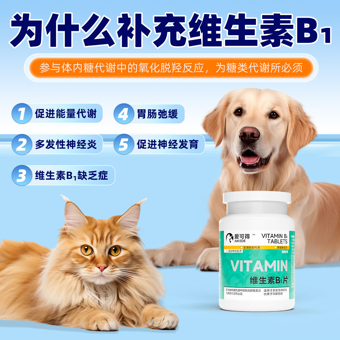 宠物用维生素B1片猫咪消化障碍肠胃不适狗多发性神经炎增强抵抗力,淘宝优惠券,粉丝福利购,淘宝优惠卷