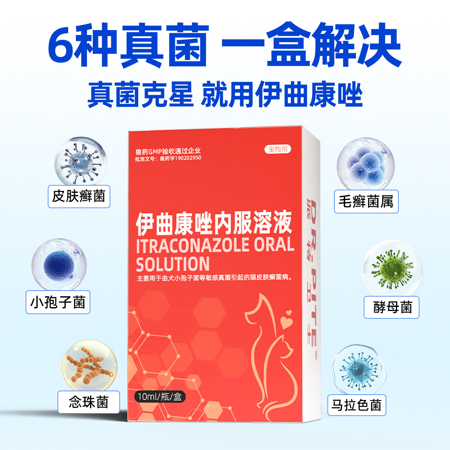 伊曲康唑口服液宠物猫癣狗癣狗狗猫咪皮肤病马拉色真菌感染专用药,淘宝优惠券,粉丝福利购,淘宝优惠卷