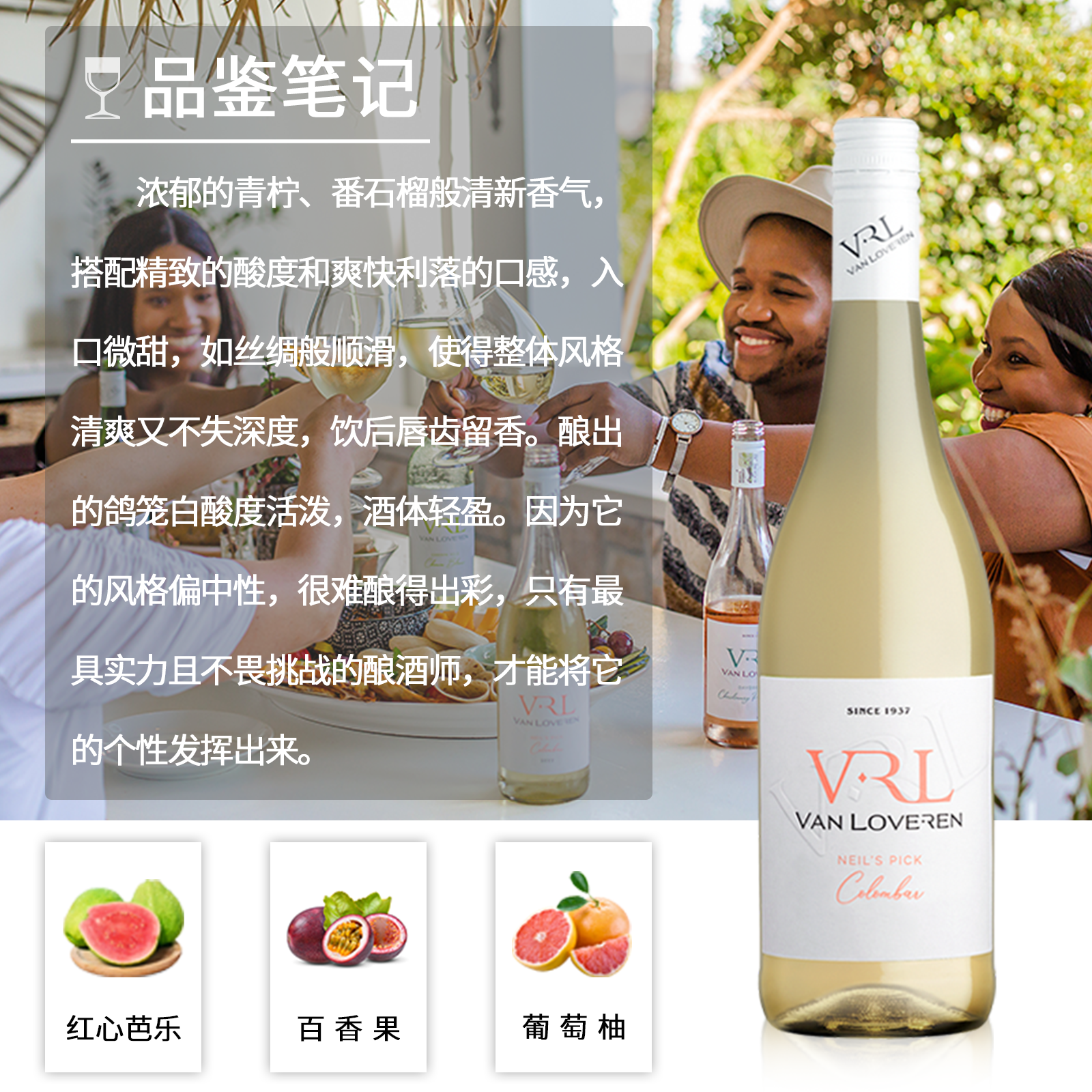 开普酒乡 南非进口梵劳伦酒庄鸽笼白半干白葡萄酒原瓶官方正品