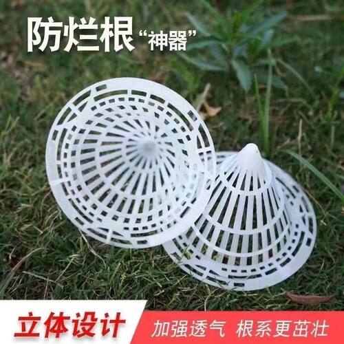 花盆底孔排水罩网垫锥形塑料沥水透气垫片多肉盆栽防漏土防烂根 - 图2