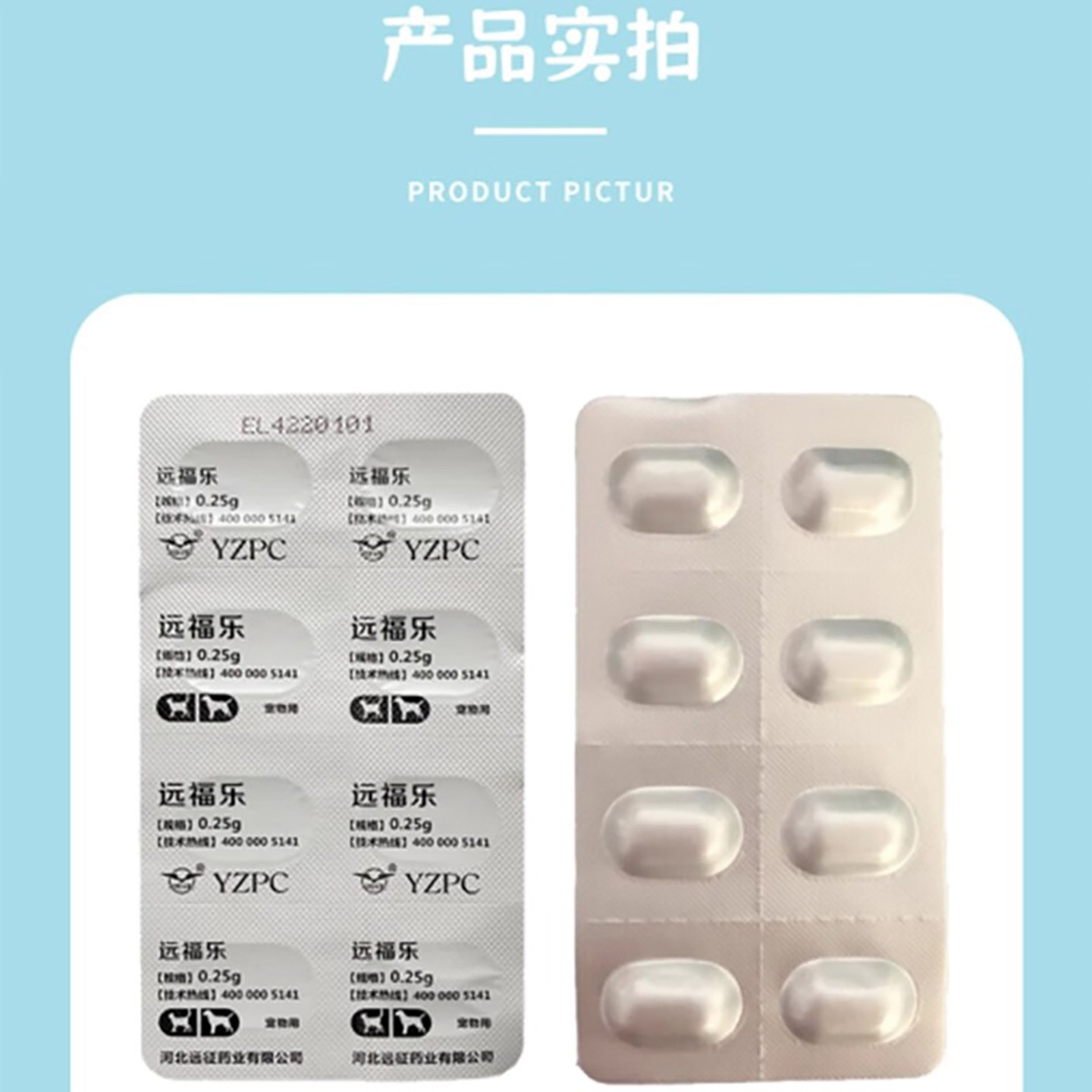 远征远福乐消炎头孢羟氨苄宠物猫狗脓皮症细菌球菌癌肿溃烂感冒药