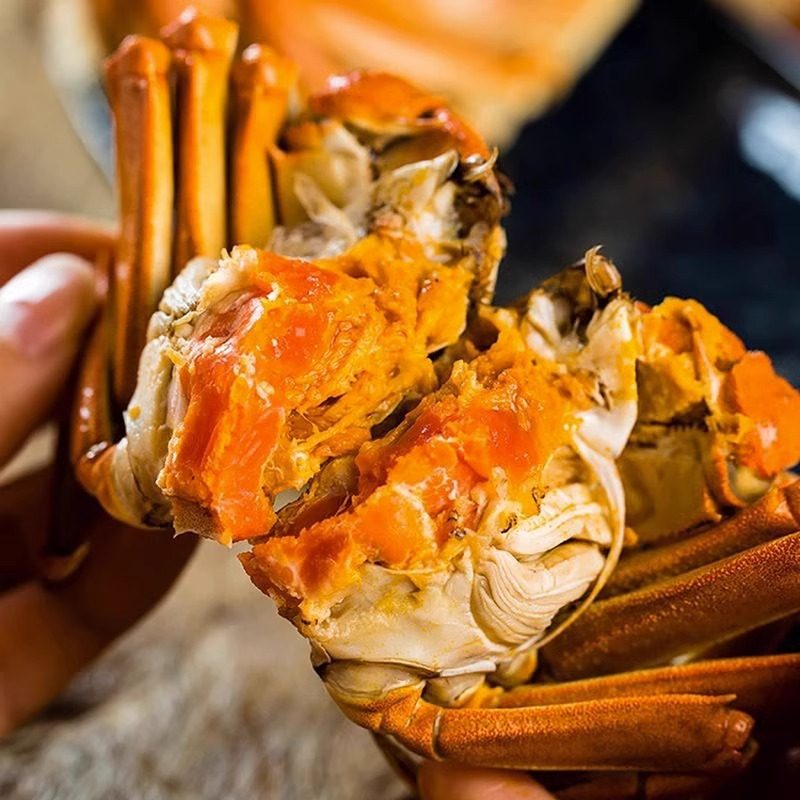 活蟹特大现货阳澄大闸蟹苏州鲜活满黄螃蟹公4两母3两/10只礼盒装,淘宝优惠券,粉丝福利购,淘宝优惠卷