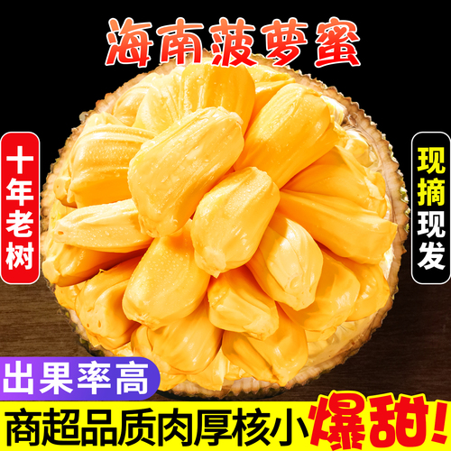 【现货秒发】海南菠萝蜜新鲜一整个三亚特产黄心波罗蜜当季水果