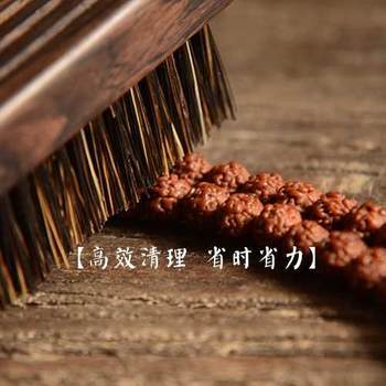 Wenwan Brush Purple Sandalwood Soft Bristle Hard Bristle Brush Walnut Diamond Bristle Brush Cleaning and Maintenance Tool