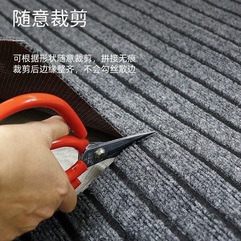 Entrance door floor mat, stain-resistant foot mat, bathroom door non-slip mat, entrance door mat, kitchen absorbent mat, door carpet