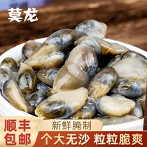 Moron Clay Snail Ready-to-eat Canned Yellow Clay Snail Fresh Grain Crisp Puree Canned Ningbo Produced Seafood