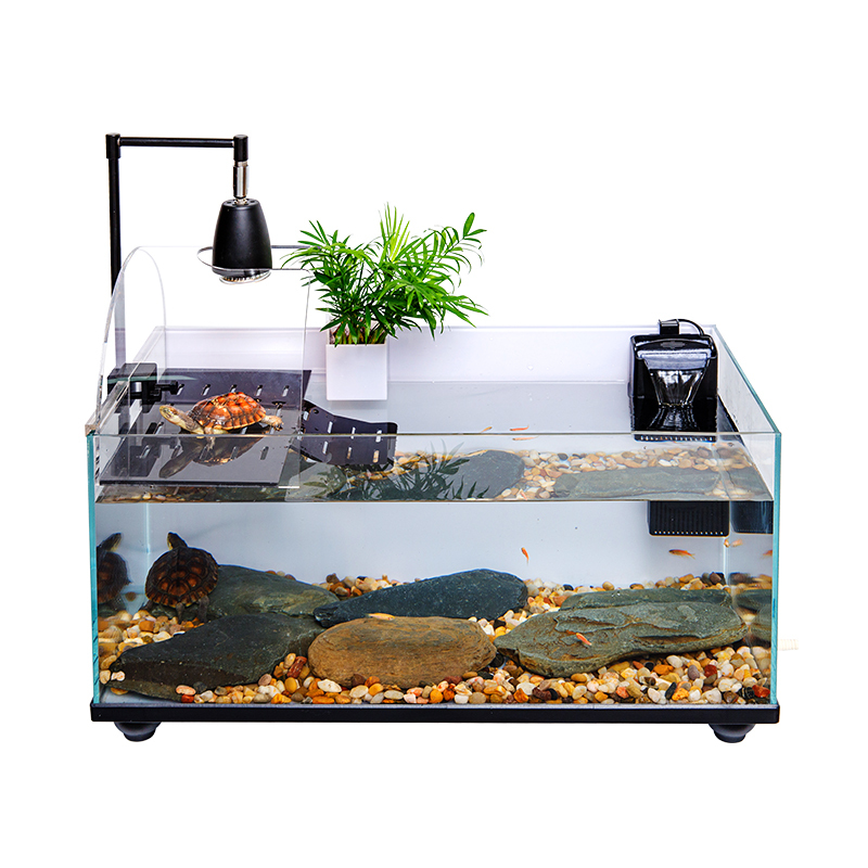 乌龟缸大型家用带晒台超白玻璃底排养乌龟专用深水生态龟鱼混养缸 - 图3