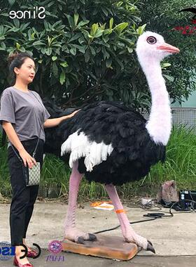黑色仿真粘毛鸵鸟动态模型自贡特色巨型仿真动物模型制作工厂