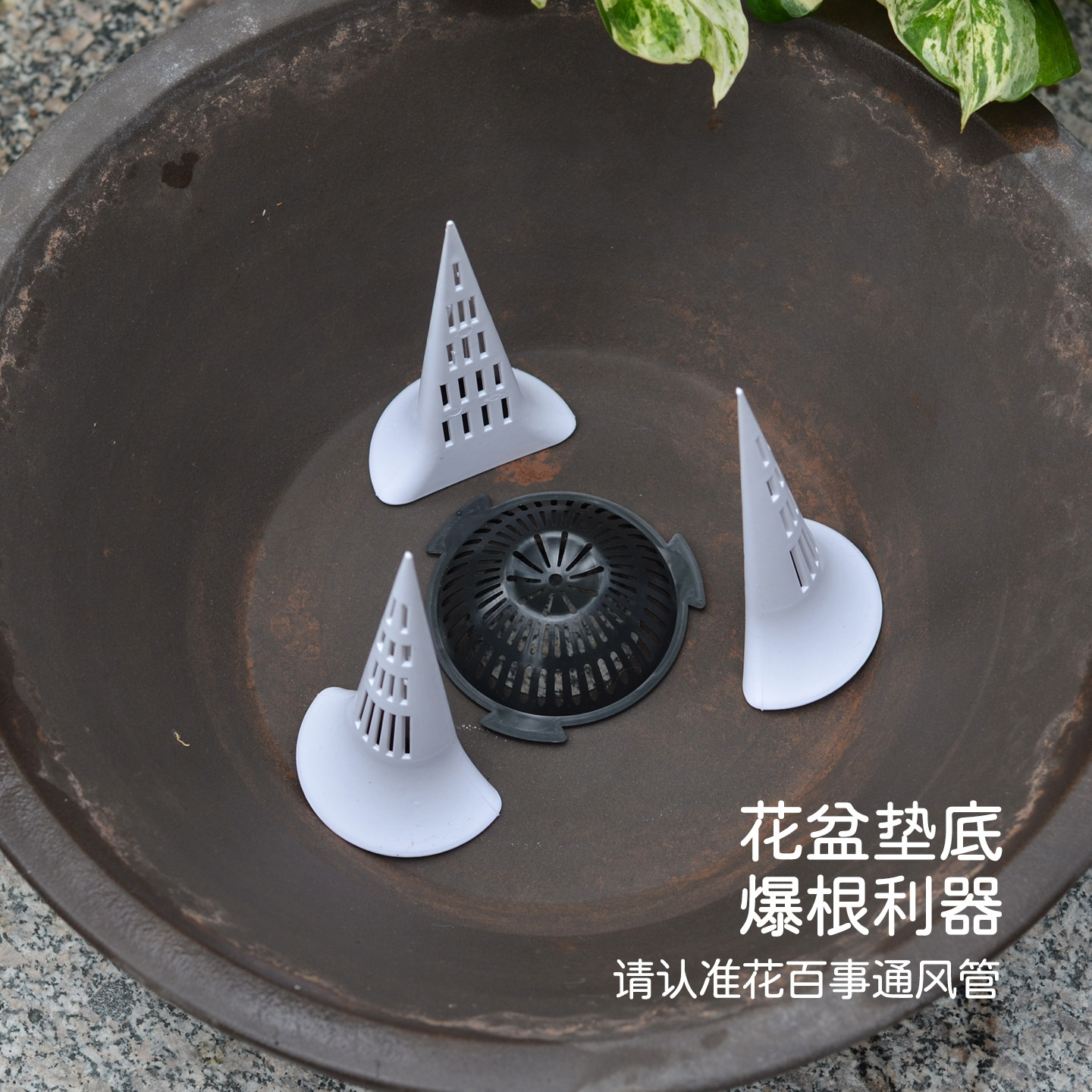 盆土通风透气管花盆花卉盆景种植种花土壤透气防板结防烂根通风管,淘宝优惠券,粉丝福利购,淘宝优惠卷