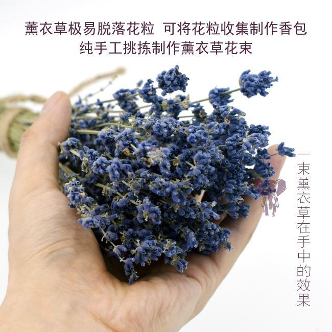 天然新疆伊犁干真花lavander薰衣草干花束永生花礼盒安神助眠客厅 - 图3