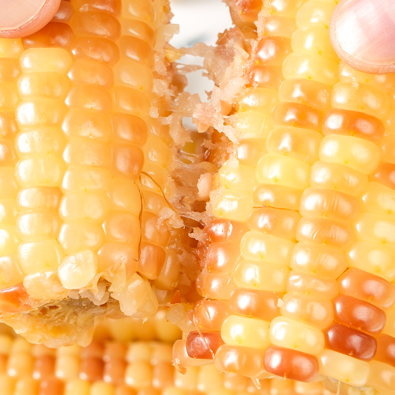 Yunnan specialty fragrant glutinous corn on the cob vacuum packaging