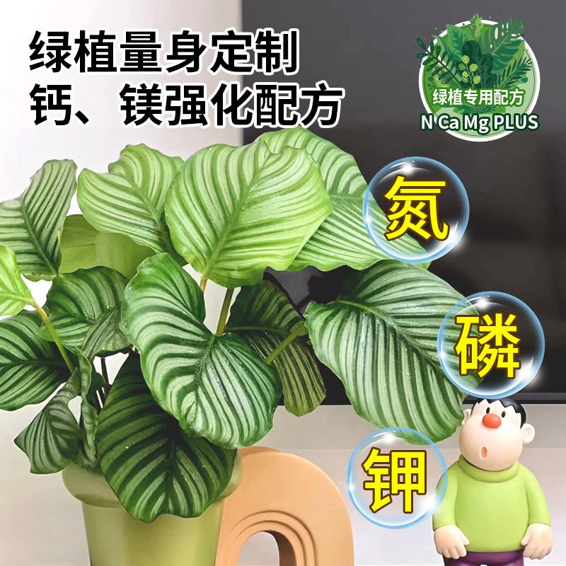 植物叶面肥绿植免稀释营养液发财树绿萝一喷绿促生长叶绿素叶面肥