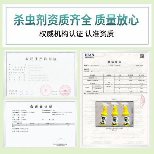 通用型杀虫剂 防虫杀虫 无需稀释 安全室内可用 只杀虫不伤花 - 图1