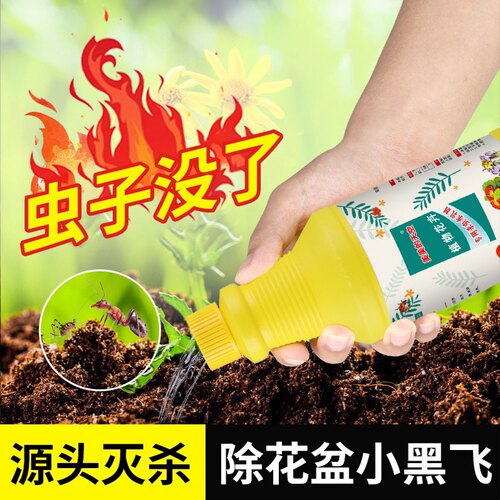 通用型杀虫剂 防虫杀虫 无需稀释 安全室内可用 只杀虫不伤花 - 图3