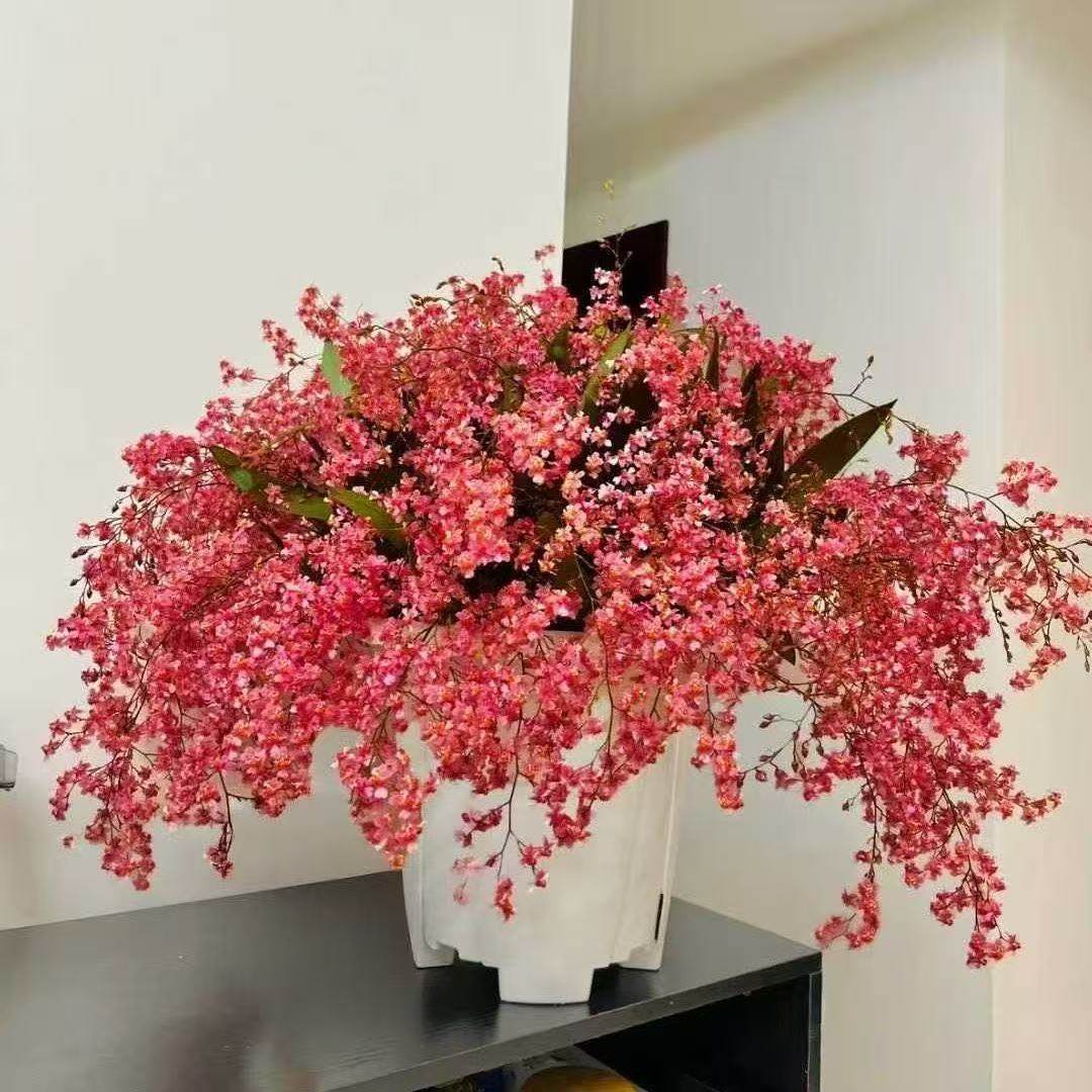 带花剑文心兰盆栽梦香兰带盆浓香型兰花桌面客厅室内花卉绿植好养,淘宝优惠券,粉丝福利购,淘宝优惠卷