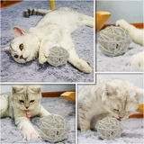 Игрушка, развлекательный экологичный колокольчик, издает звуки, домашний питомец, популярно в интернете