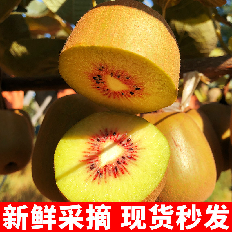 四川蒲江红心猕猴桃新鲜整箱孕妇水果当季苍溪蒲江奇异果猕猴桃,淘宝优惠券,粉丝福利购,淘宝优惠卷
